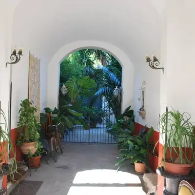 casa immersa nel verde al centro di Palermo