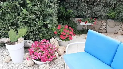a blue chair and some flowers and potted plants at stella di ponente in Macari