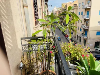 an apartment balcony with plants and a street at Funky flat in Palermo