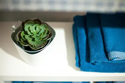 a plant in a pot on a table next to towels at Casa MaMo 36 in Palermo