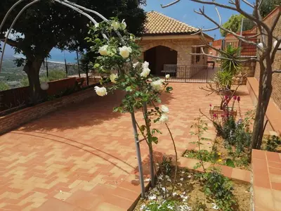 a tree with white flowers in a courtyard at Villa Verde in Cefalù