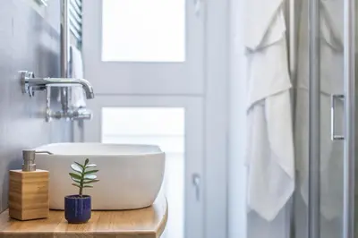 a bathroom with a sink and a potted plant at B&B Babbaluci - Centro Storico in Palermo
