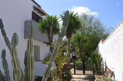 a courtyard with palm trees and a fence at Villetta Aurora in Isola delle Femmine