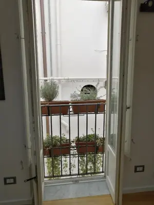 an open door with potted plants on a balcony at Ballarooms B&B Palermo Centro in Palermo