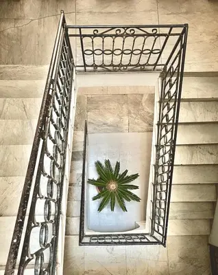 a stair case with a plant in a mirror at Archè Design Rooms and Suites in Palermo