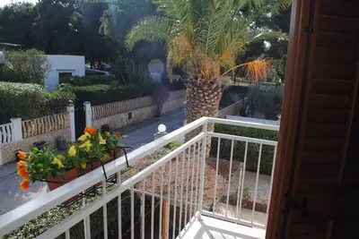 a balcony with a palm tree and some plants at Villa Smeralda in San Vito lo Capo