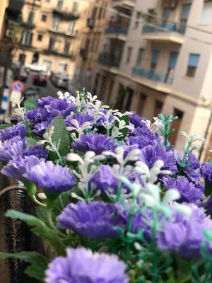 a bunch of purple and white flowers on a balcony at Dal Barce Rooms in Palermo