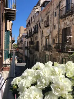 a bunch of white flowers sitting on a balcony at Piazza Marina Open Space in Palermo