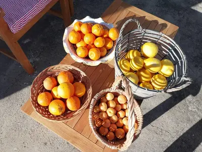 three baskets of oranges and lemons on a table at Nuovo AliRu in Campofelice di Roccella