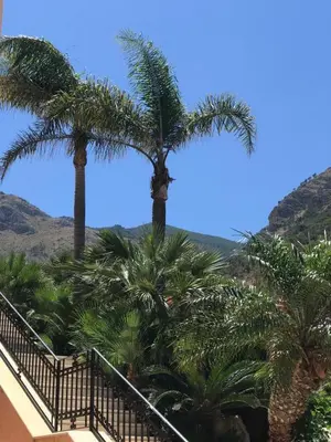 a staircase with palm trees and mountains in the background at Castellammare Smart Rooms in Castellammare del Golfo