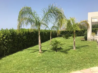a group of palm trees in a yard at Villa Edori - Giardino degli Allori in Castellammare del Golfo