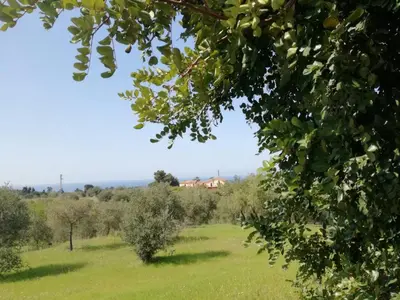 a field of green grass with a house in the background at Il Casale il Sole e la Margherita in Campofelice di Roccella