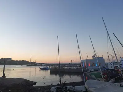 a group of sailboats docked at a marina at sunset at Casa Giusi in Sferracavallo