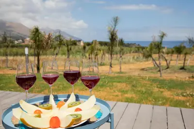 a plate of fruit and two glasses of wine at Villa NATURE ZAGARA SCOPELLO ZINGARO in Castellammare del Golfo