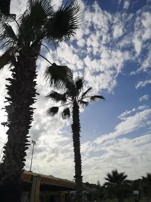 two palm trees with a cloudy sky in the background at Casa vacanza da Samuele in San Vito lo Capo