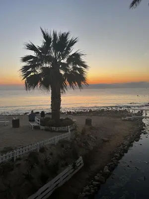 a palm tree on the beach with the sunset at Solus b&b in Casteldaccia