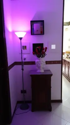 a purple room with a lamp and a vase of flowers at Alba central City in Palermo