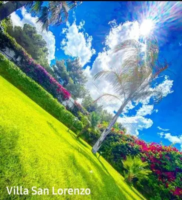 a palm tree in a field with flowers at Villa San Lorenzo in Palermo