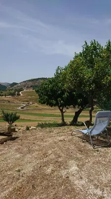a chair sitting on the ground next to a tree at Helimos B&B with Segesta Temple view near Castellammare del Golfo in Calatafimi