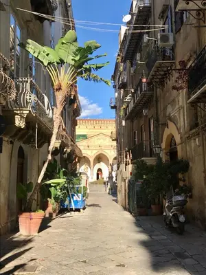 an alley with a palm tree in front of a building at La Siciliana-di fronte la Cattedrale in Palermo