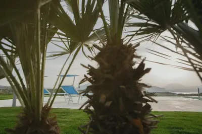 a blue chair sitting behind a palm tree at Case Playa Resort in Balestrate