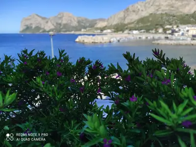 a view of the ocean from a bush with flowers at La casa di Giulio - holiday home in Isola delle Femmine