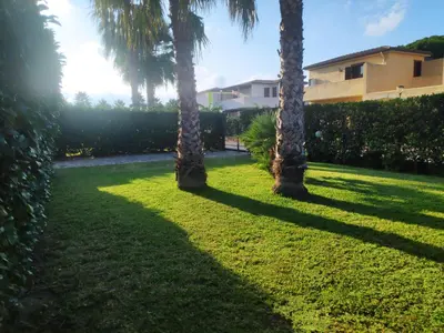 a group of palm trees in a yard at Campofelice Holidays in Campofelice di Roccella