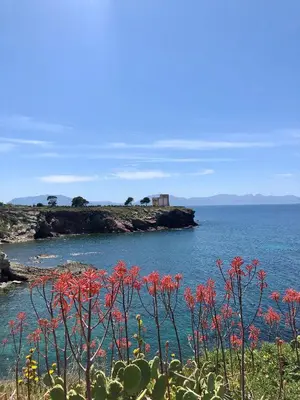 a view of a body of water with red flowers at Le Lanterne di Terrasini in Terrasini