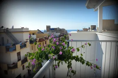 a plant on the balcony of a building with purple flowers at PESCA AZZURRA in Terrasini