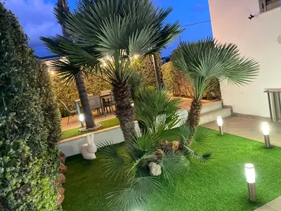 a group of palm trees in a yard with lights at Kristal in San Vito lo Capo
