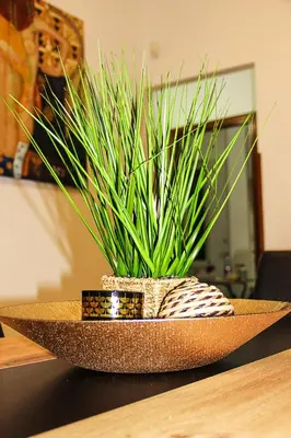 a green plant in a bowl on a table at Gabry central apartment Palermo in Palermo