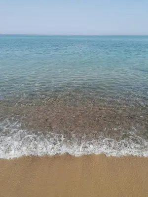 a view of the beach and the water at Momaliar House in Campofelice di Roccella