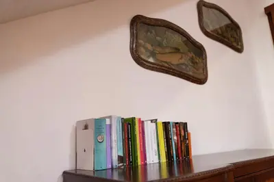 a shelf with books and a picture on a wall at La Palma in San Vito lo Capo