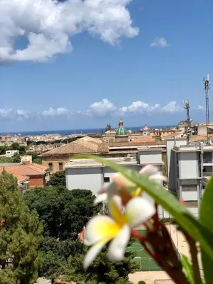 a white and yellow flower in front of a city at B&B Bellavista in Palermo