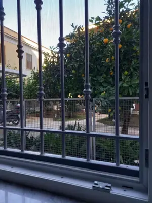 a window looking out at an orange tree at Momenti e Monumenti in Palermo