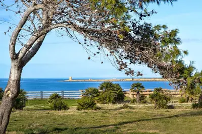 a tree in a field with the ocean in the background at Casa Azul in Terrasini