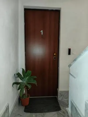 a brown door with a plant in front of it at Dimora al Capo in Palermo
