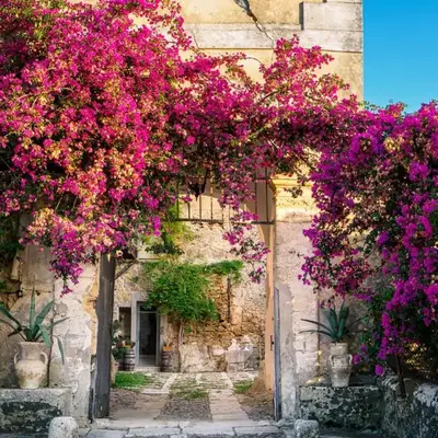 Baglio Colonna - Nature Noble Boutique