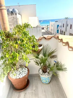 two potted plants sitting on the side of a wall at Casa Sole in San Vito lo Capo
