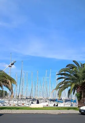 a bunch of boats parked in a marina with palm trees at LE CAMERE AL CASSARO in Palermo