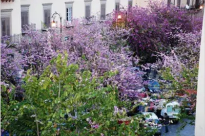 a garden with purple flowers in front of a building at Fra la città storica e quella ottocentesca in Palermo