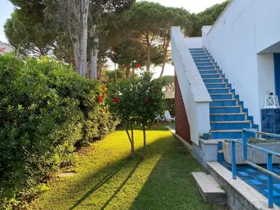 a small tree in a yard next to a staircase at Luxury Villa just 50 mt from the beach, 10 minutes from the airport in Carini