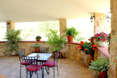 a patio with a table and chairs and plants at Casale Orioles in Torretta