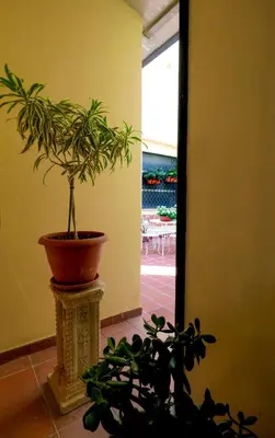 a potted plant sitting on a pillar in a hallway at Le stanze di Bianca in Palermo