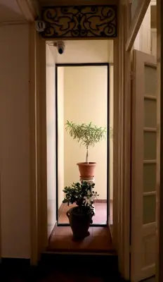 a plant in a pot sitting in a doorway at Le stanze di Bianca in Palermo