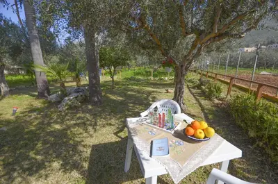 a white table with a bowl of fruit on it at Cascina degli Ulivi in Castelluzzo