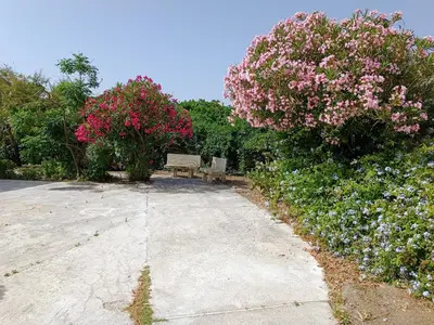 a park with a bench and some pink flowers at Villa On The Beach Spiaggia Plaia in Castellammare del Golfo