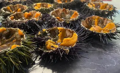 a group of durianuts with chocolate on a table at CASE VANELLA GRANDE aspra Bagheria in Bagheria