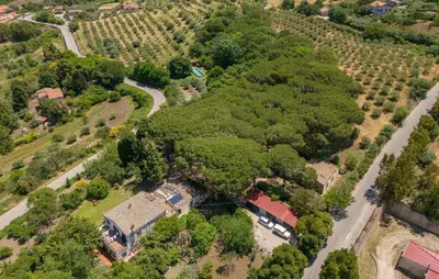 an aerial view of a house with trees and a road at Biancolilla in Alia