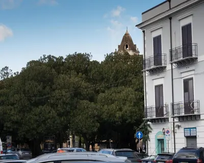 a street with cars parked in front of a building at Casa Villafilippina in Palermo